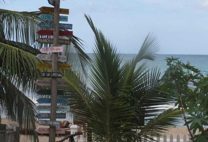 Aqua Hotel Fernando S Bar