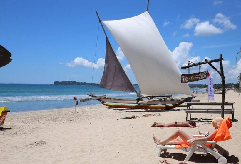 Aqua Hotel Fernando S Bar