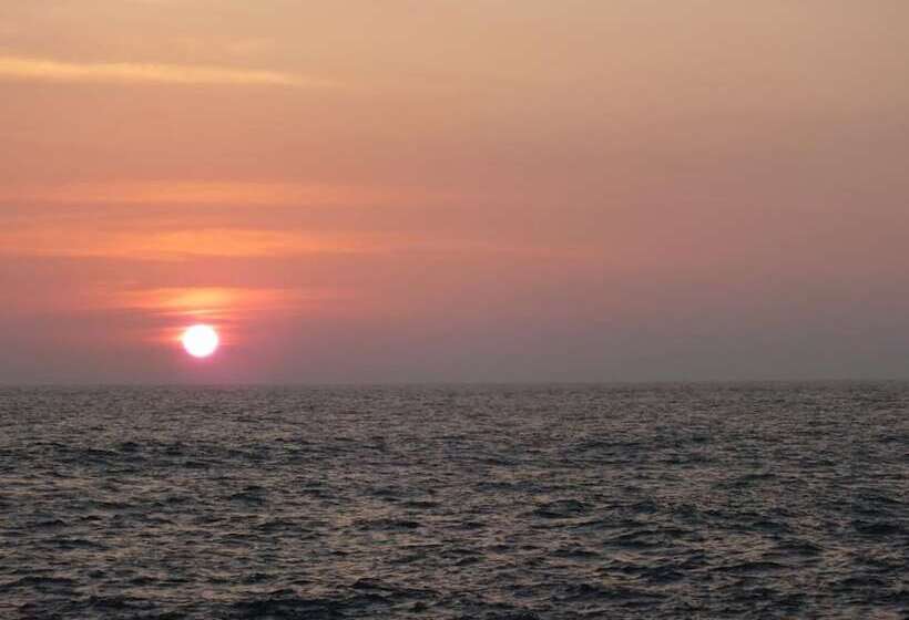 Aqua Hotel Fernando S Bar