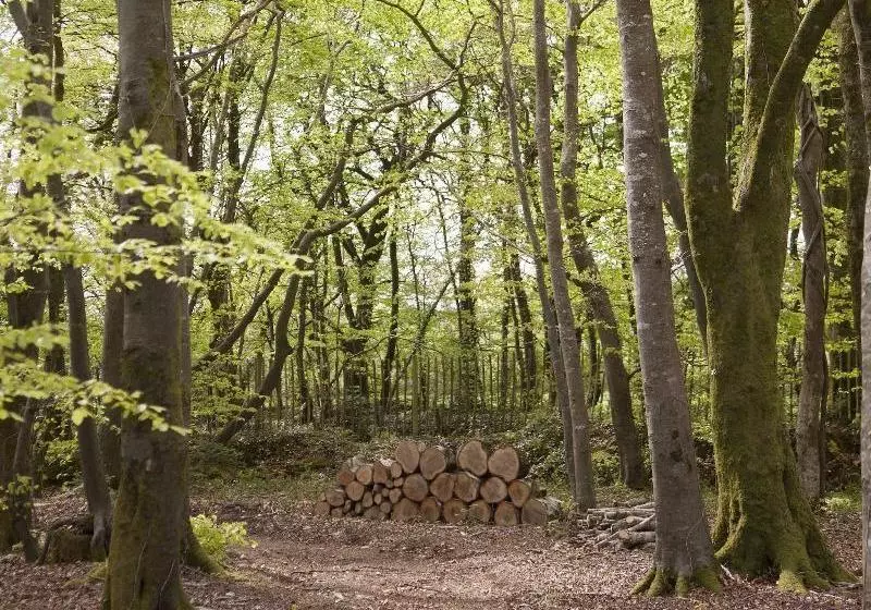 Aamiaismajoitus (B&B) Clonganny House