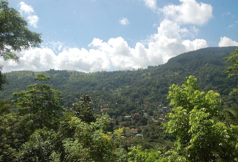 Bed and Breakfast Green View Home Stay