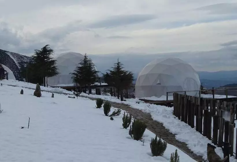 ベッドアンドブレックファースト Natura Glamping