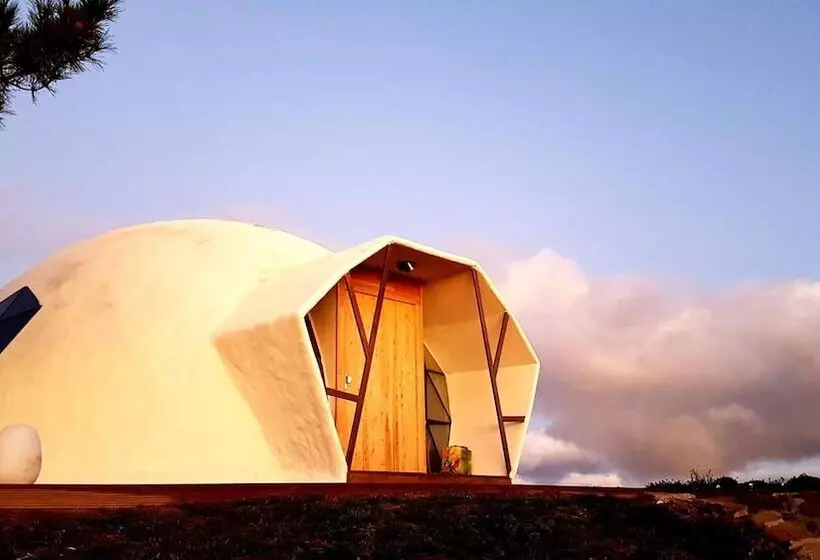 ベッドアンドブレックファースト Natura Glamping