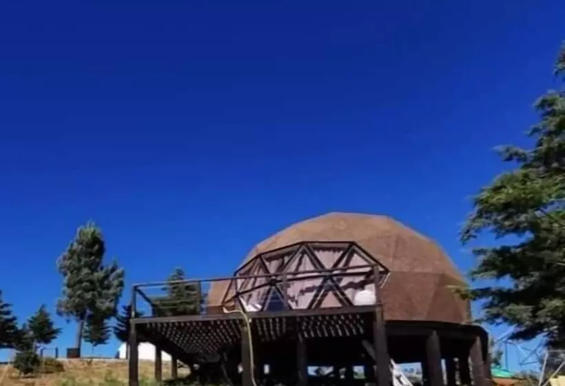 ベッドアンドブレックファースト Natura Glamping