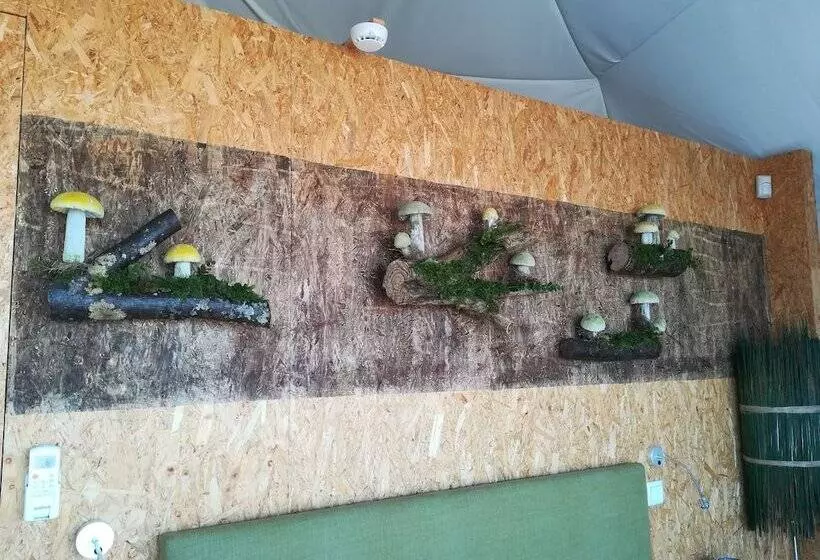 ベッドアンドブレックファースト Natura Glamping