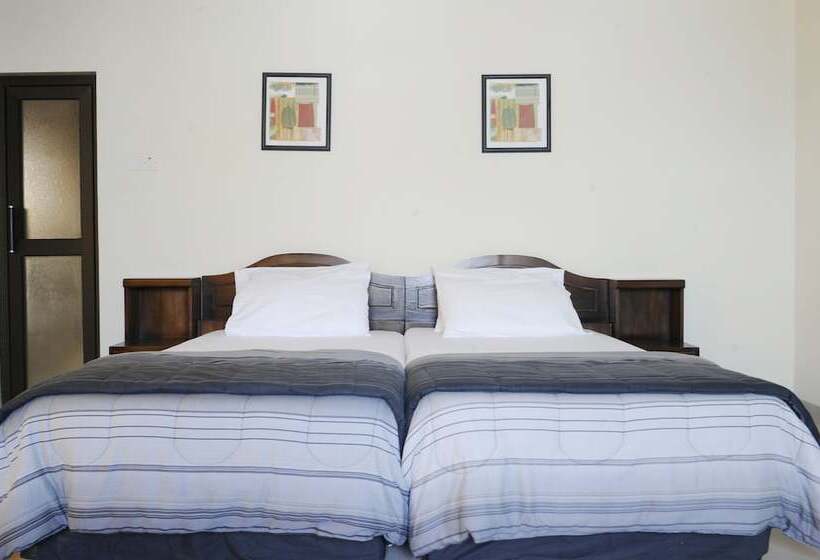 酒店 Mount Pleasant Inns & Apartment