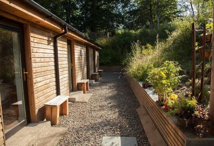 酒店 The Elbowroom Escape