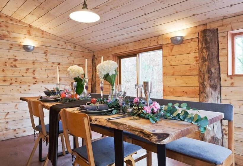 酒店 The Elbowroom Escape