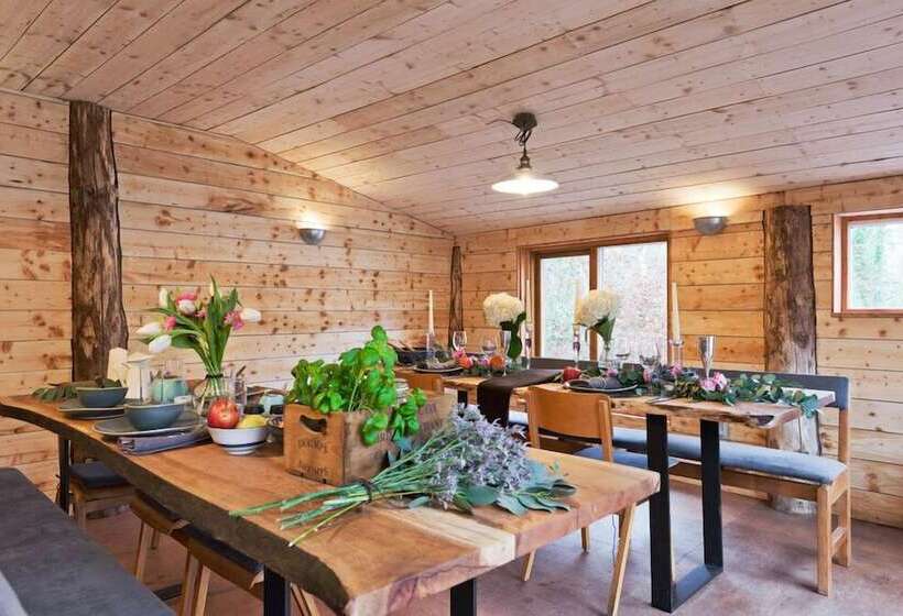 酒店 The Elbowroom Escape