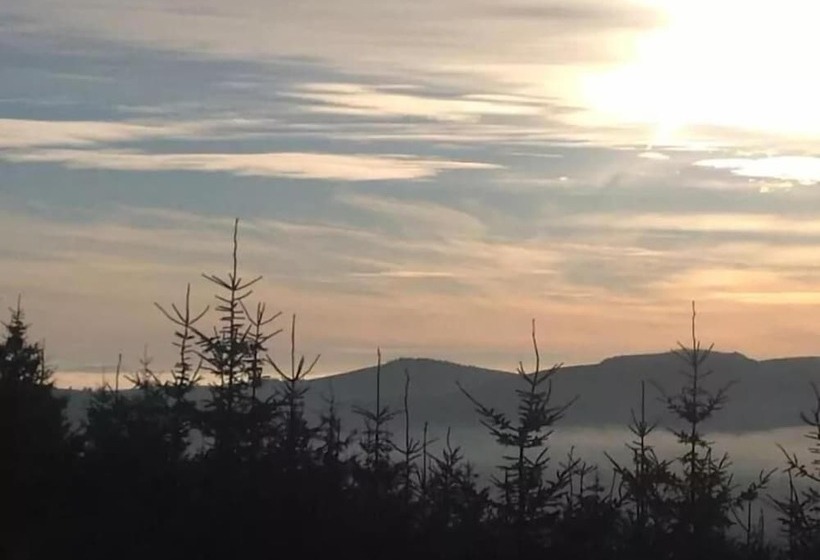 酒店 The Elbowroom Escape