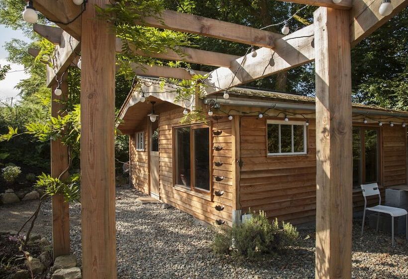 酒店 The Elbowroom Escape