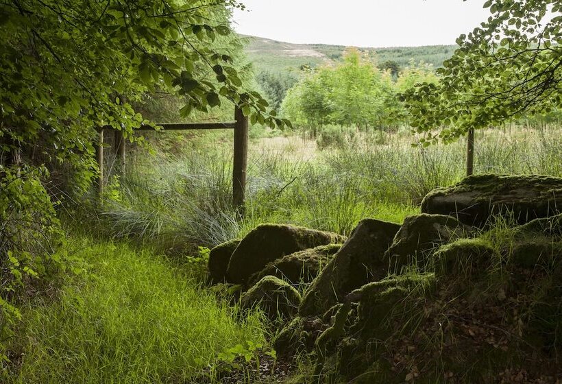 酒店 The Elbowroom Escape