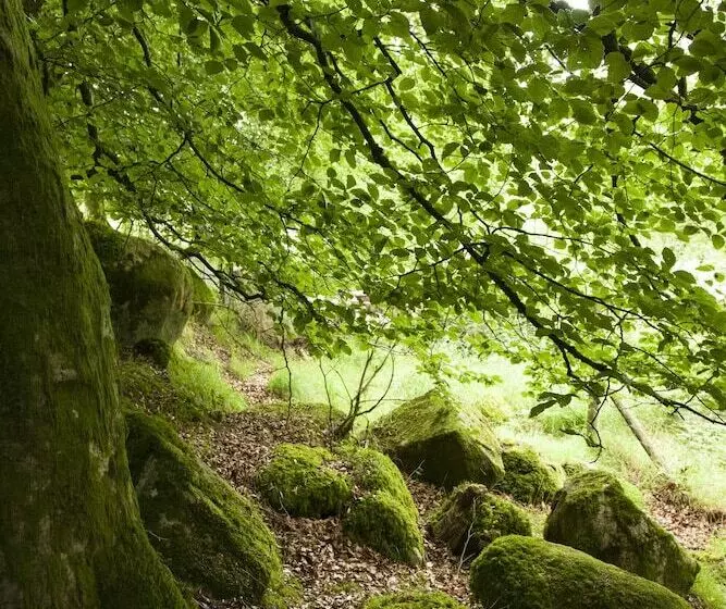 Hotelli The Elbowroom Escape