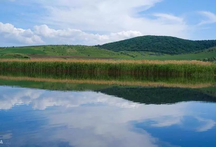 ペンション Delta Mayanka