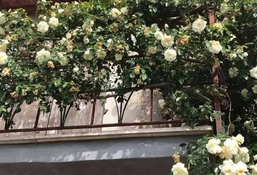 Querciabruna B&b Canneto