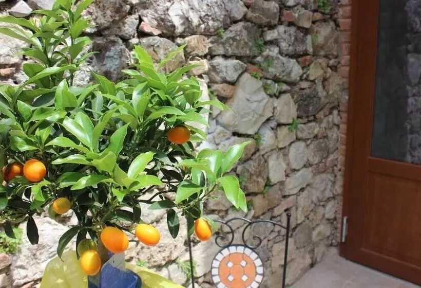 Querciabruna B&b Canneto