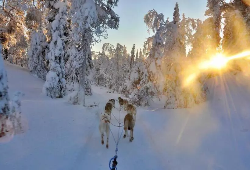 Lomakeskus Metsa Kolo