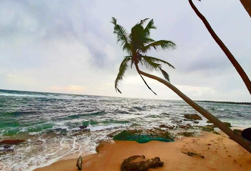 ホテル Akurala Beach Boutique Resort