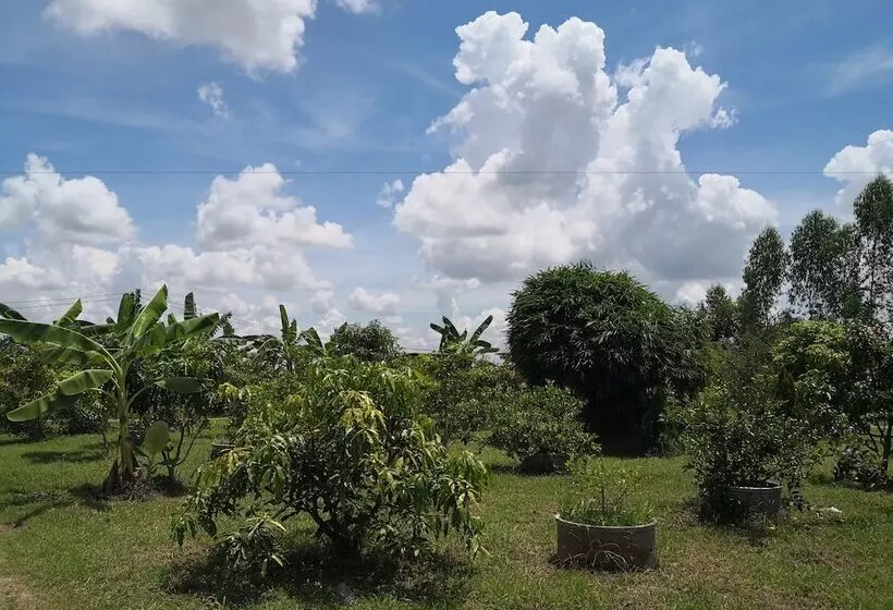 ホテル Phutara Resort