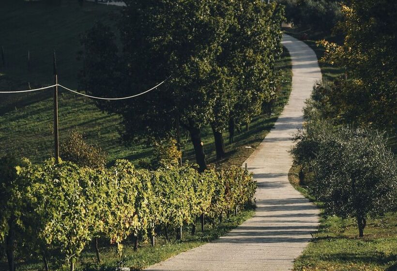 乡村酒店  Agriturismo Acetaia Sereni