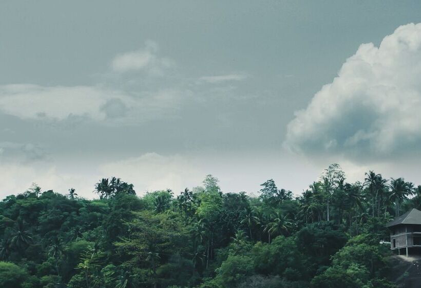 בית מלון כפרי Stay Rumies