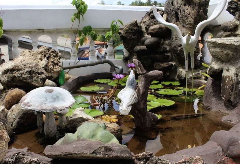 בית מלון כפרי Stay Rumies