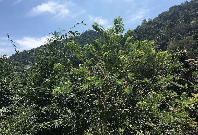 ペンション Kandy Home Stay Villa