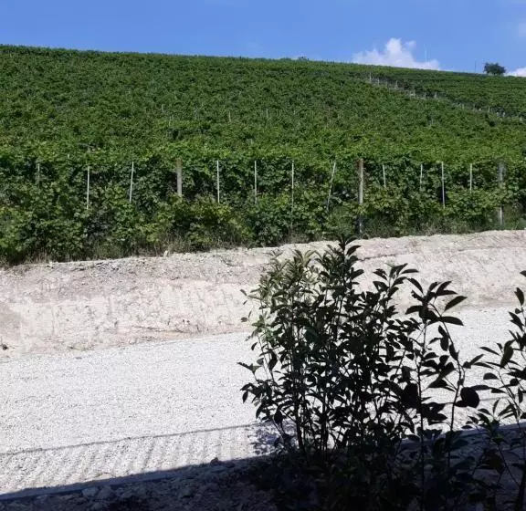 Vitae Di Langa