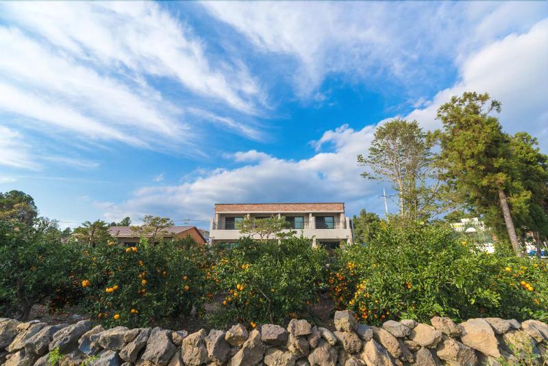 酒店 Misoga Pension