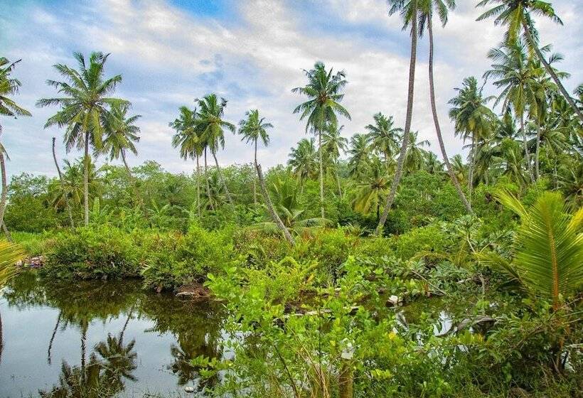 Milkyway Holiday Resort