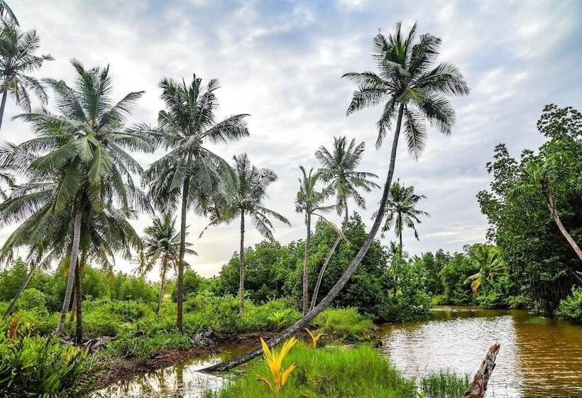 Milkyway Holiday Resort