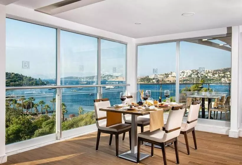 Отель Baia Bodrum