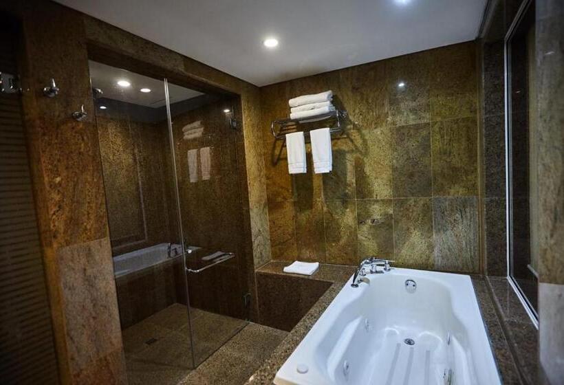 هتل Eurobuilding Express Maiquetía