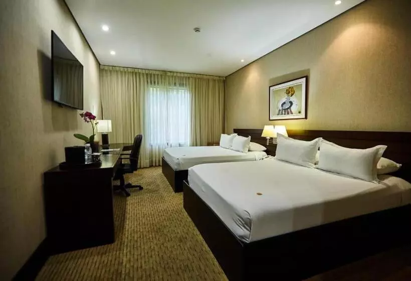 هتل Eurobuilding Express Maiquetía