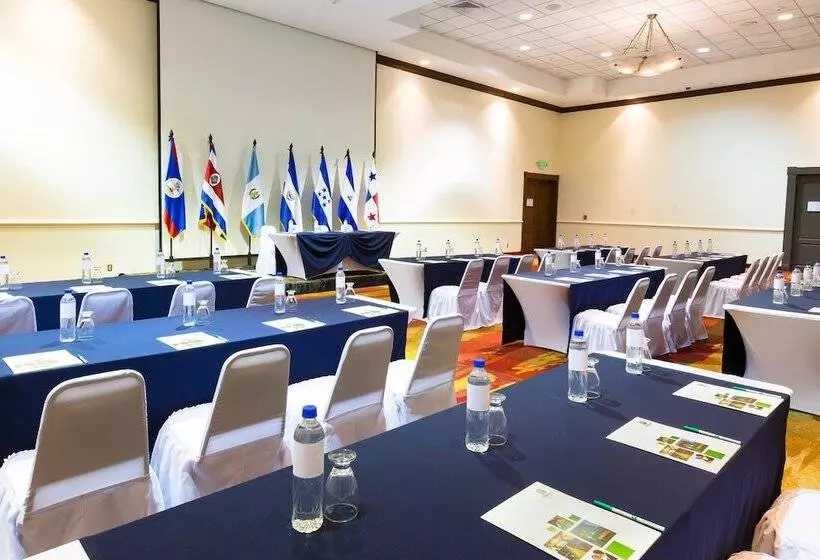 酒店 Holiday Inn San Salvador, An Ihg