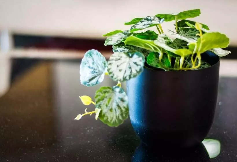 호텔 Ibis Styles Lyon Sud Vienne