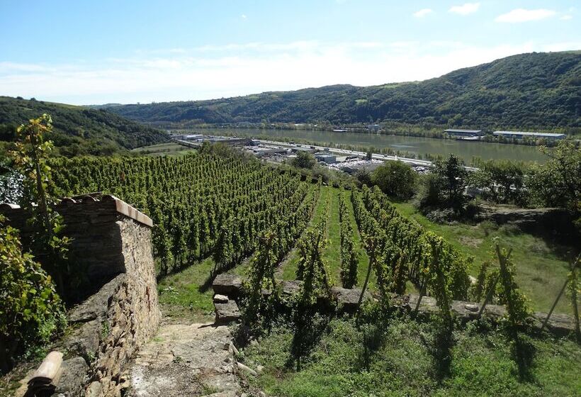 בית מלון כפרי Ibis Styles Lyon Sud Vienne