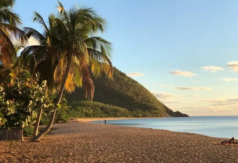 هتل Residence Habitation Grande Anse