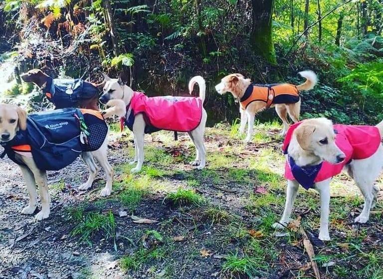 Hospedaria Pensión Alecer