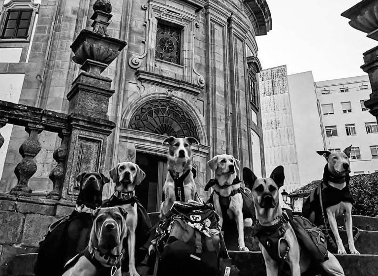 Hospedaria Pensión Alecer