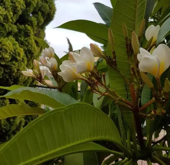 モーテル Port Pirie Accommodation And Apartments