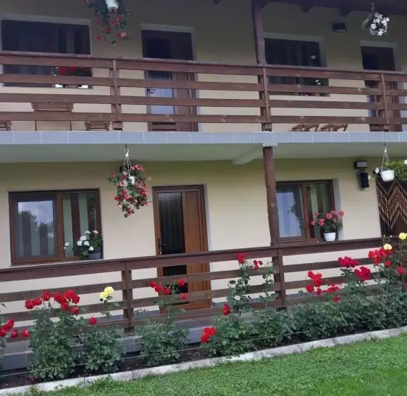 پانسیون Casa Monika Ciocarliei