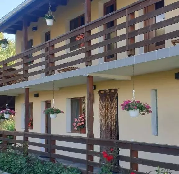 پانسیون Casa Monika Ciocarliei