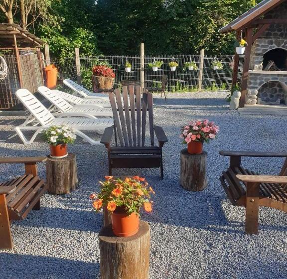 פנסיון Casa Monika Ciocarliei