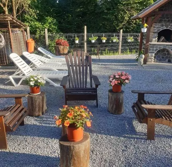 پانسیون Casa Monika Ciocarliei