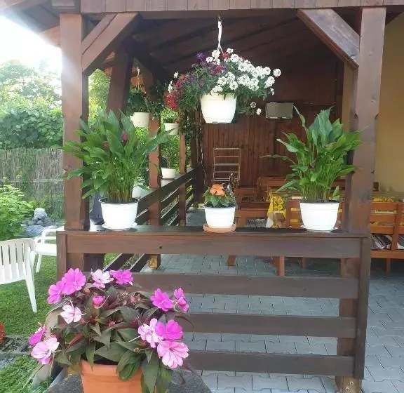 پانسیون Casa Monika Ciocarliei