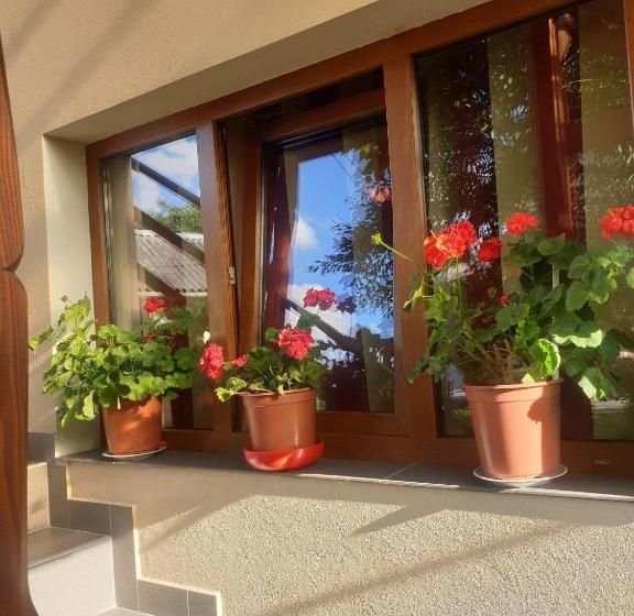 פנסיון Casa Monika Ciocarliei