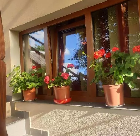 پانسیون Casa Monika Ciocarliei