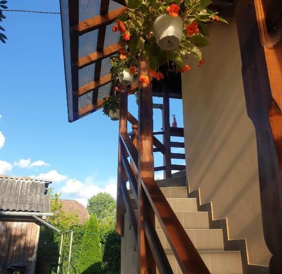 פנסיון Casa Monika Ciocarliei