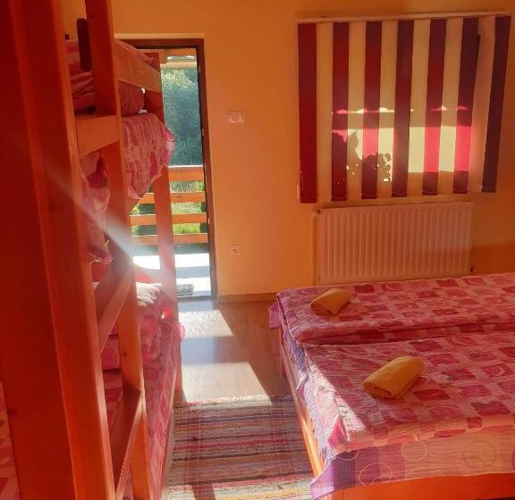 פנסיון Casa Monika Ciocarliei